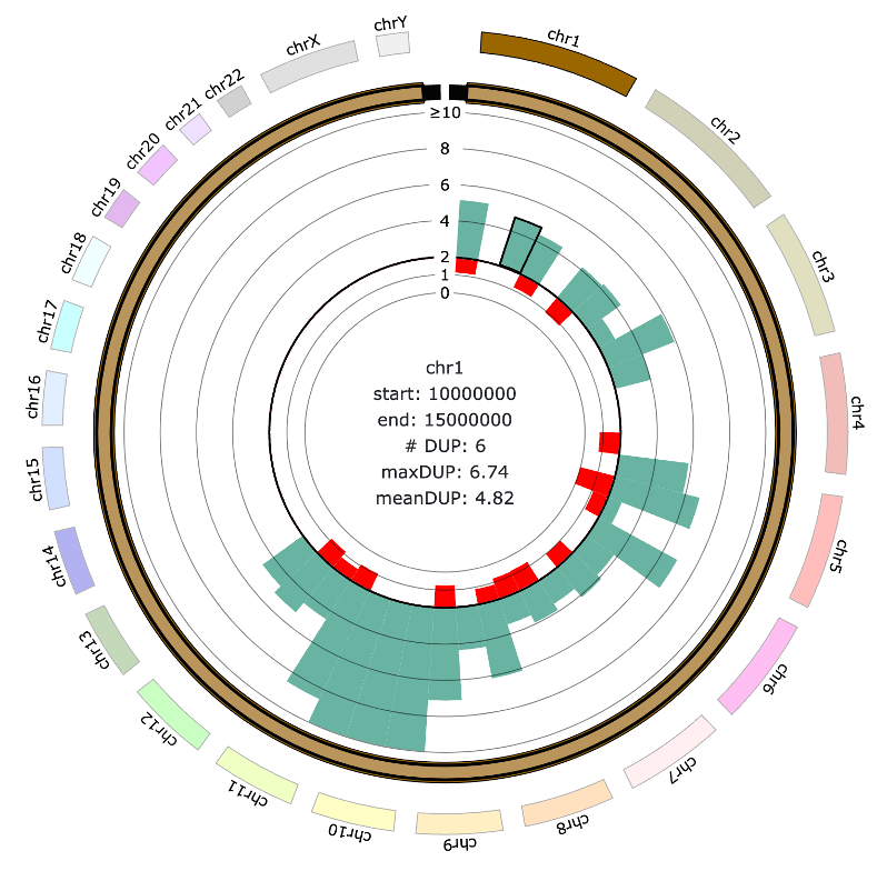 Circos View for Single-sample CNV