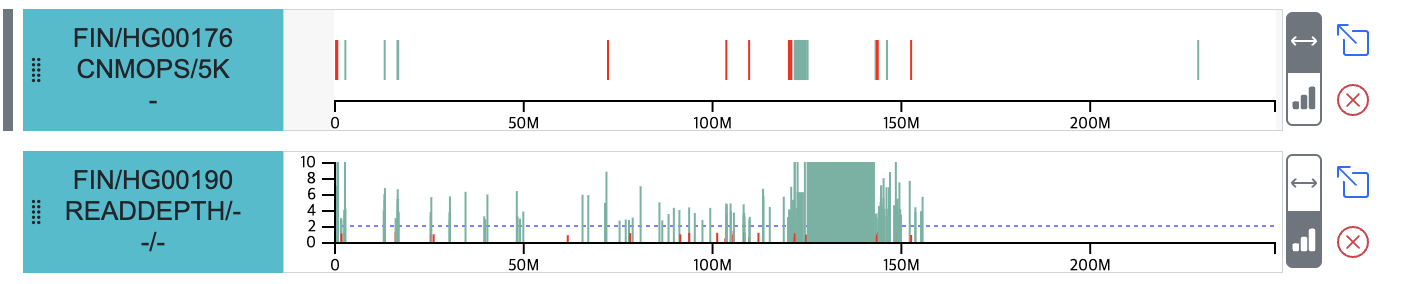 Linear Track View for Single-sample CNV